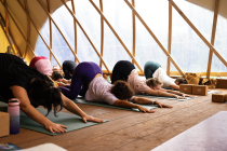 yoga<br />