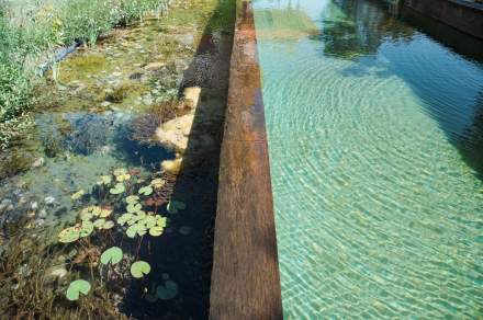 Villa Rental Arcachon with Pool · Villa La Tosca · Experience & Design of Your Stay