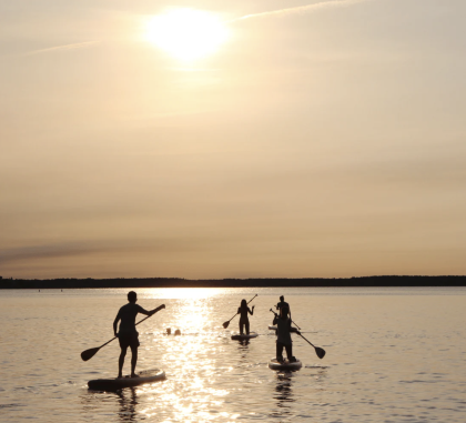Paddleboard Bassin Darcachon