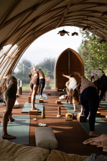 yoga